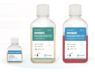 MSC Serum-Free Medium